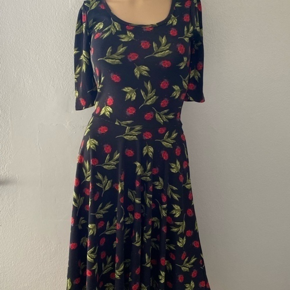 Lularoe fit flare dress 3/4 sleeves size XXS bee leave design